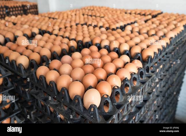 Wholesale